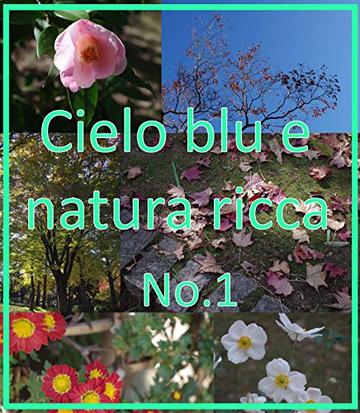 Cielo blu e natura ricca No.1